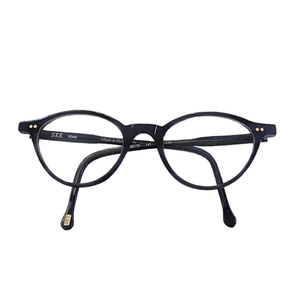 SEE 9046 frames in blue